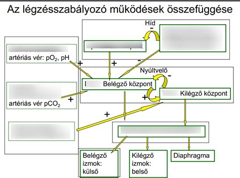 Audiométer készülék működés közben