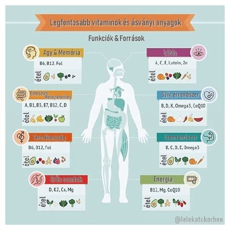 táblázat a fontosabb vitaminok és ásványi anyagok forrásairól és szerepéről