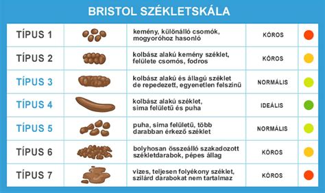 A széklet konzisztenciáját bemutató