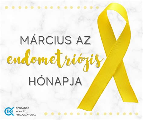 Endometriózis szimulációja