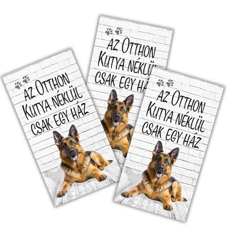 Biztonságos otthon kialakítása németjuhász kölyöknek
