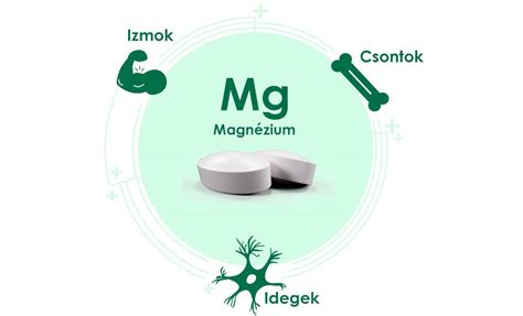 A magnézium és a D-vitamin fontossága a csontok és izmok számára