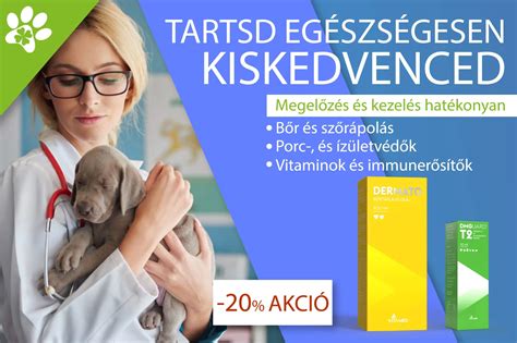 A kutya életkorának megfelelő táplálás