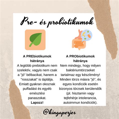Probiotikumok szerepe antibiotikum kúra alatt