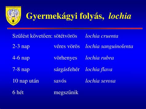 Gyermekágyi betétek és lochia