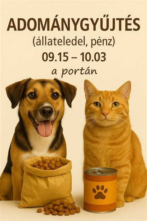 Adománygyűjtés az 1%-ból