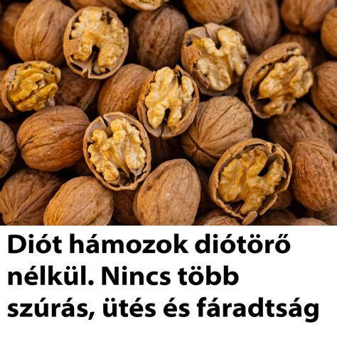 Dió metszetben, látható a héj és a mag