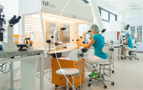 Petesejtek laboratóriumi vizsgálata