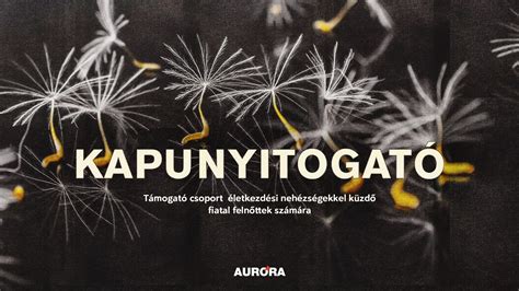 Támogató csoport a meddőségi problémákkal küzdő pároknak