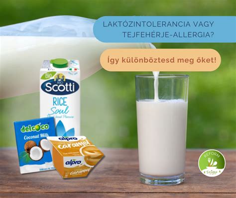 A tejfehérje-allergia és laktózintolerancia közötti különbségek