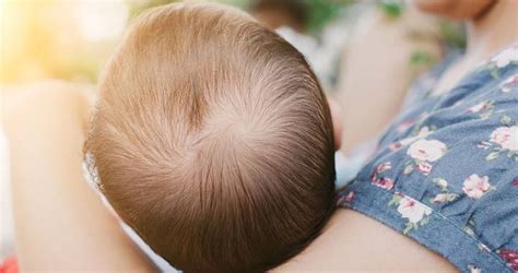 Baba feje és nyakának sérülékenysége