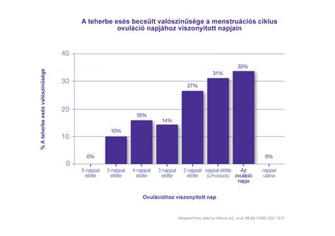 Termékenységi ablak és ovuláció