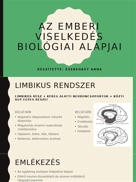 A szelén biológiai szerepei az emberi szervezetben
