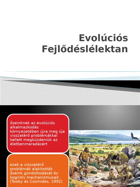 A fejlődéslélektan főbb irányzatai