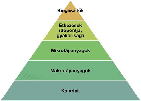 gyermekek táplálkozási piramisa