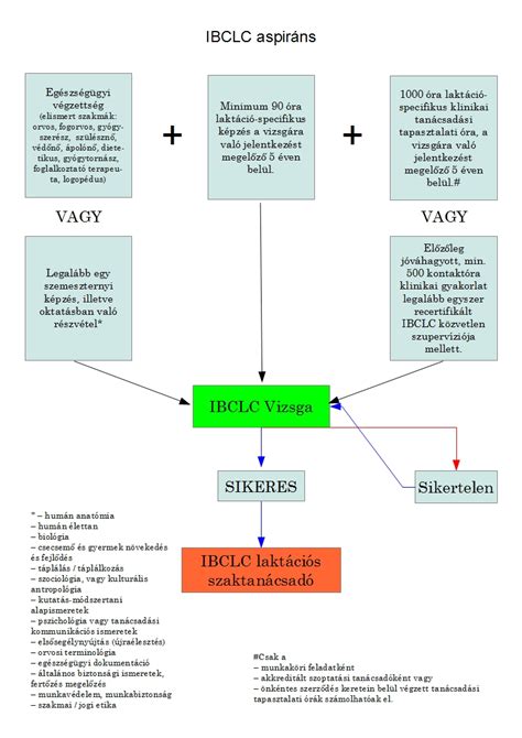 Laktációs szaktanácsadók világszerte