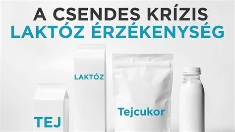 A tejcukor lebontása a szervezetben