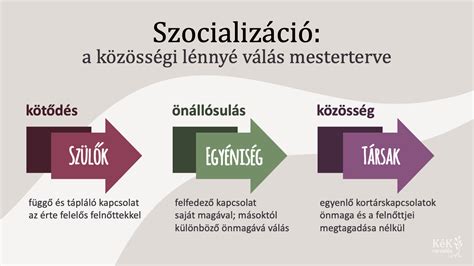 A szobatisztaság fejlődése különböző életkorokban