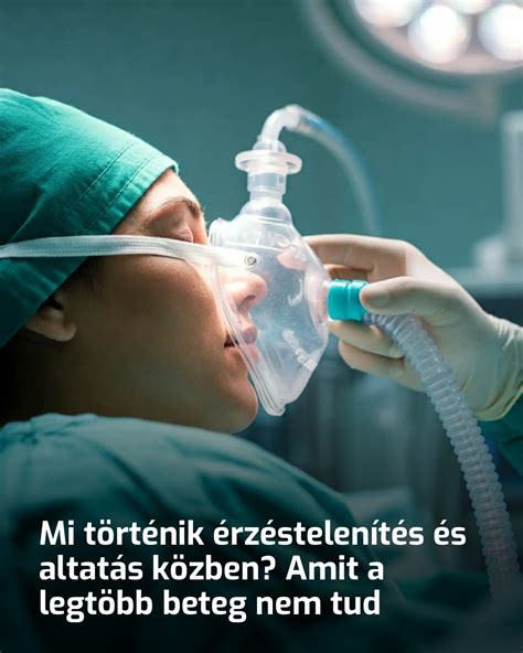 A Wnt/Notch jelátviteli út sematikus ábrája