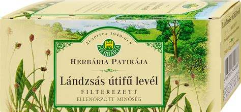 Lándzsás útifű tea elkészítése lépésről lépésre infografika
