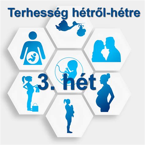 A terhesség 3 trimesztere
