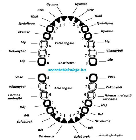 Fogak és alvás kapcsolata