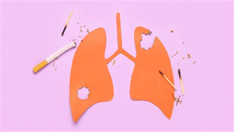 Dohányzás és tüdőrák statisztika