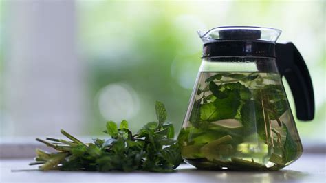 Gyógynövényekből készült tea készítése