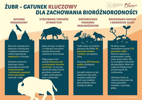 Infografika a tápszer elkészítésének lépéseiről