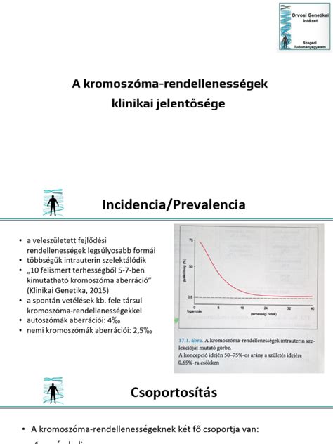 A kromoszóma-rendellenességek vizsgálatának folyamata
