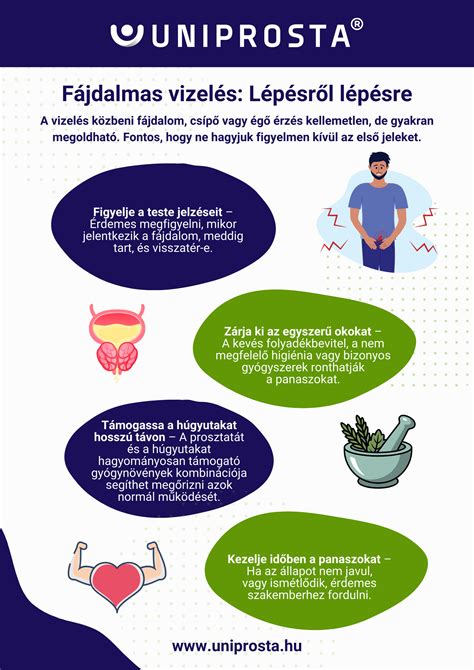 Infografika a várandósgondozás főbb lépéseiről és javasolt vizsgálatairól