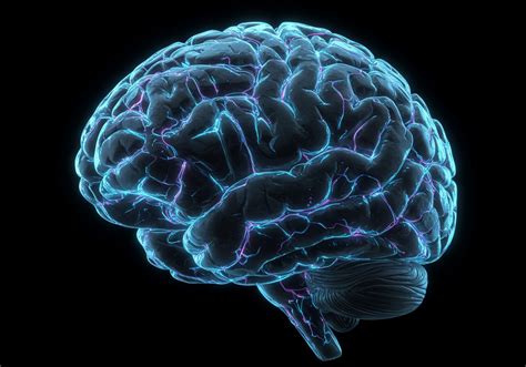 Brain rot: a digitális tartalmak hatása az agyra