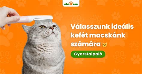 Hogyan válasszunk megfelelő tápot kölyökkutyánknak