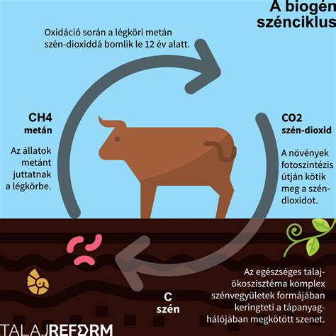 A tejtermelés biológiai folyamata