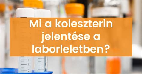 A koleszterin termelődésének és funkciójának sematikus ábrázolása