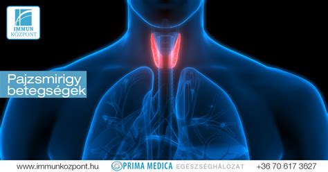 A pajzsmirigy működésének ábrázolása