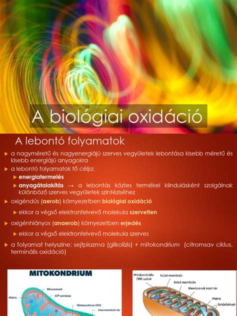 Biológiai szoptatási pozíció