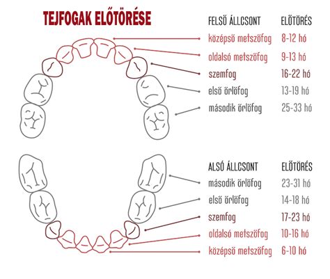 A fogzás és betegségek hatása a baba étvágyára