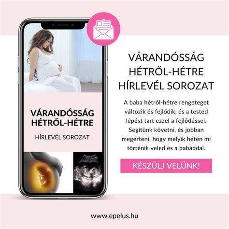A várandósság hetei