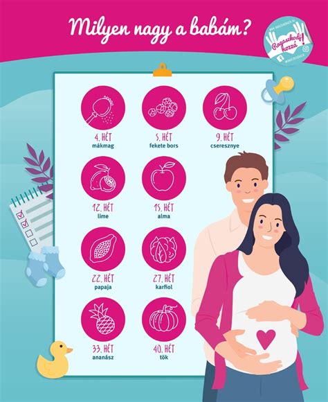 Terhesség hétről hétre táblázat
