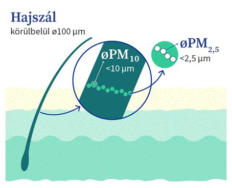 PM2.5 részecskék méretének összehasonlítása