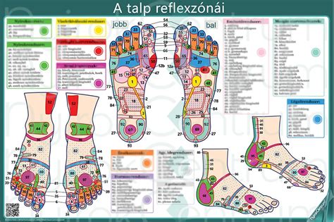 Reflexológiai pontok a csecsemő talpán az emésztés támogatására