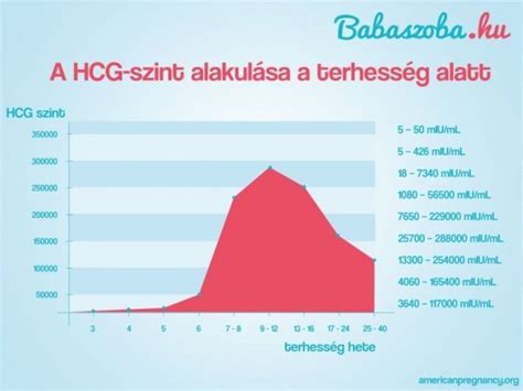 A terhességi hányinger idővonala