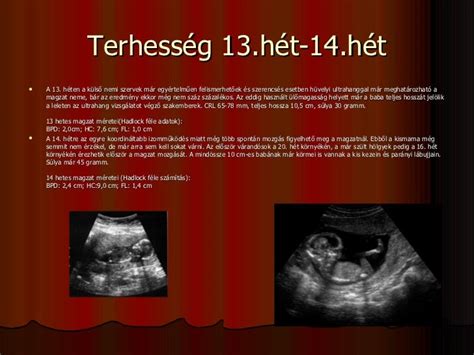 14 hetes magzat a méhben