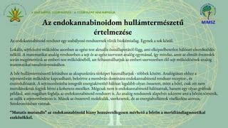 Az endokannabinoid rendszer működésének sematikus ábrája