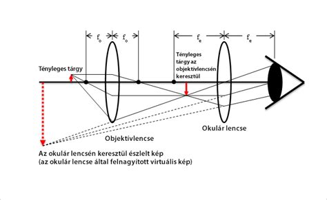 Ovulációs mikroszkóp működési elve