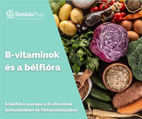 A bélflóra szerepe és felépítése