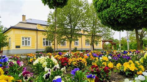 Solt Város Önkormányzat Alapszolgáltatási Központ Védőnői Szolgálata logója