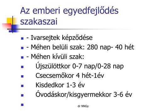 Kisgyermek fejlődési szakaszait bemutató infografika
