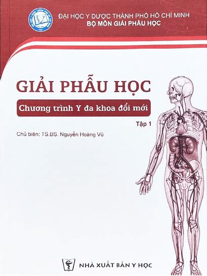 Női giải phẫu học